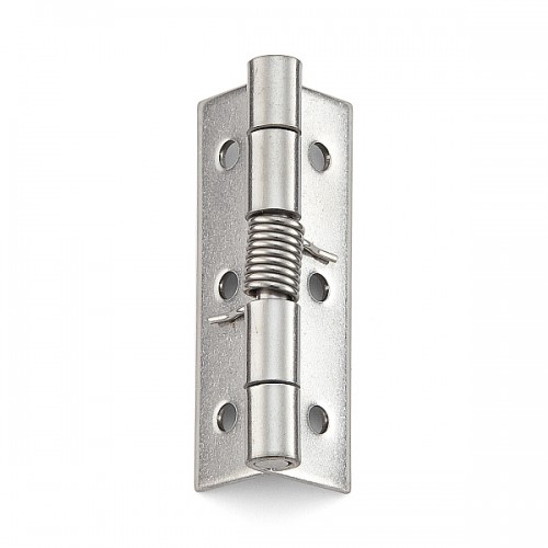 Spring Hinge